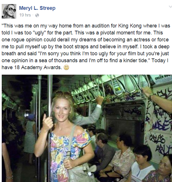 Meryl 23
