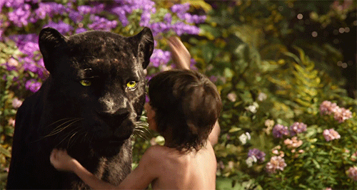 junglebooksbgif2.jpg