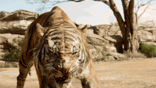 shere khan