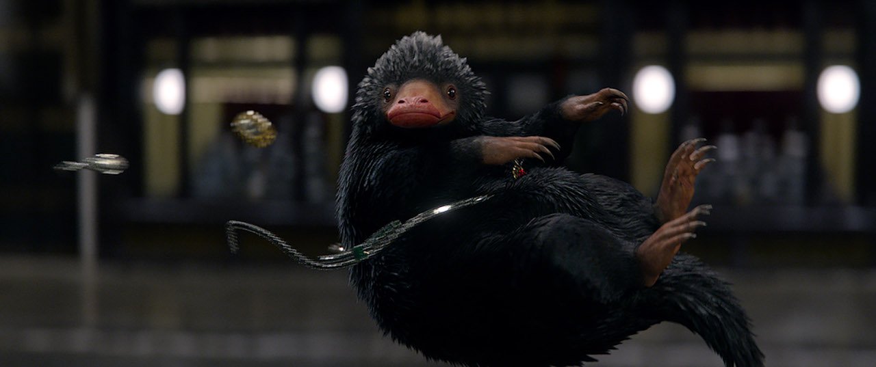 FANTASTIC BEASTS AND WHERE TO FIND THEM