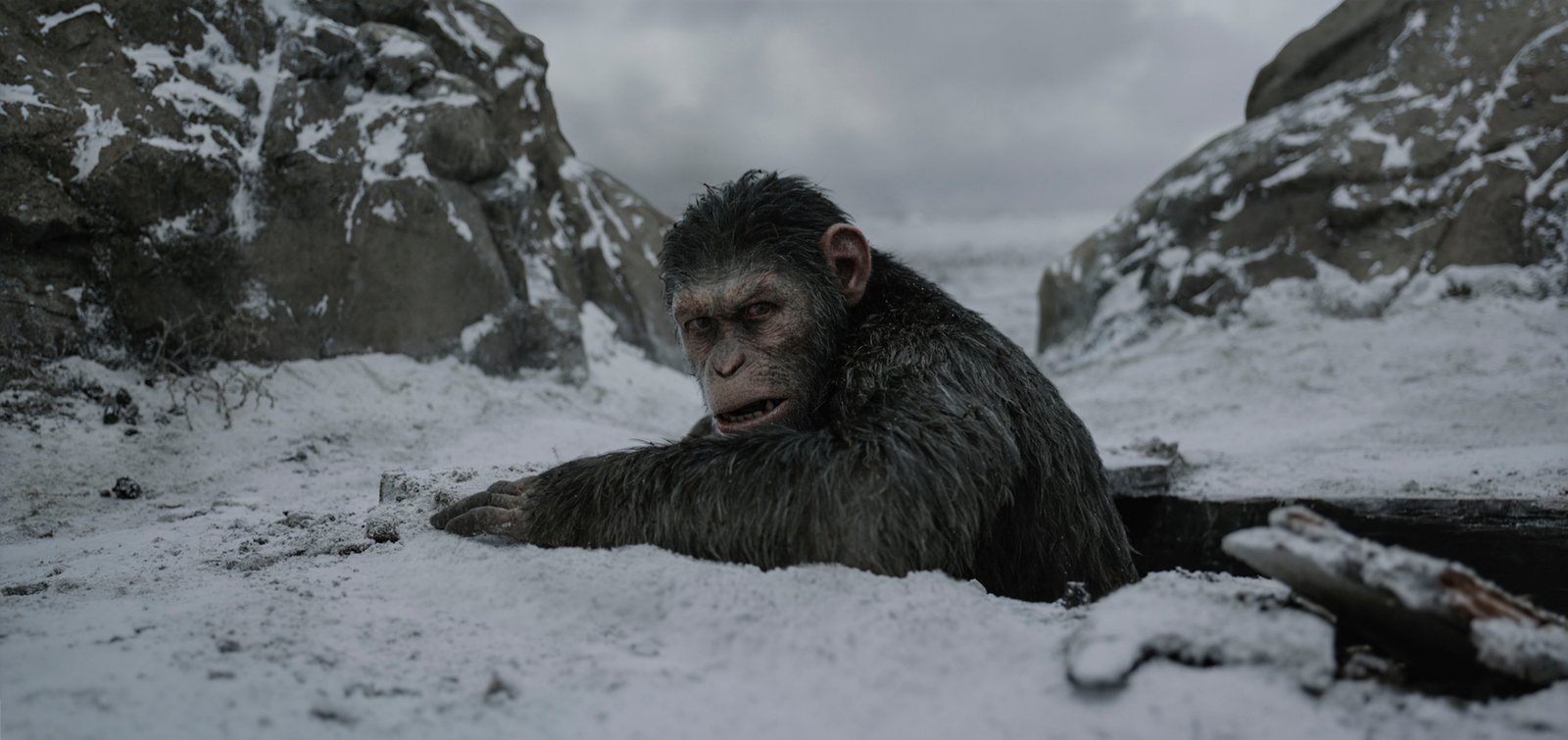 WAR FOR THE PLANET OF THE APES