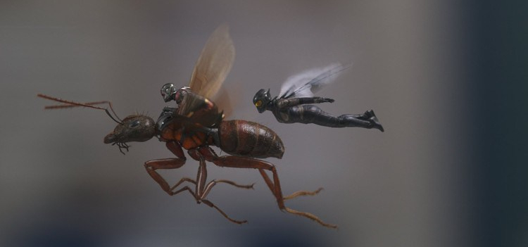 Ant-Man and the Wasp