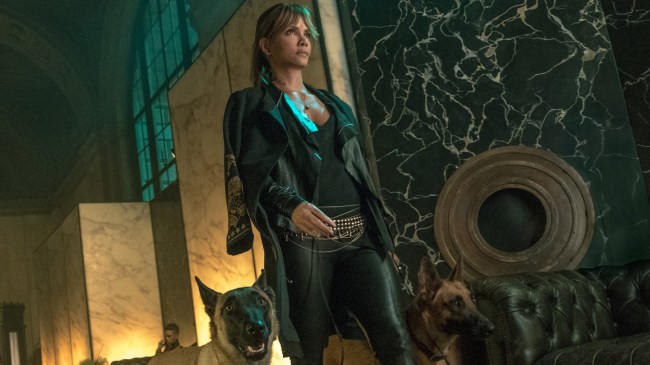 John Wick 3 - Halle Dog