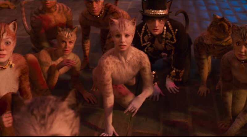 Cats