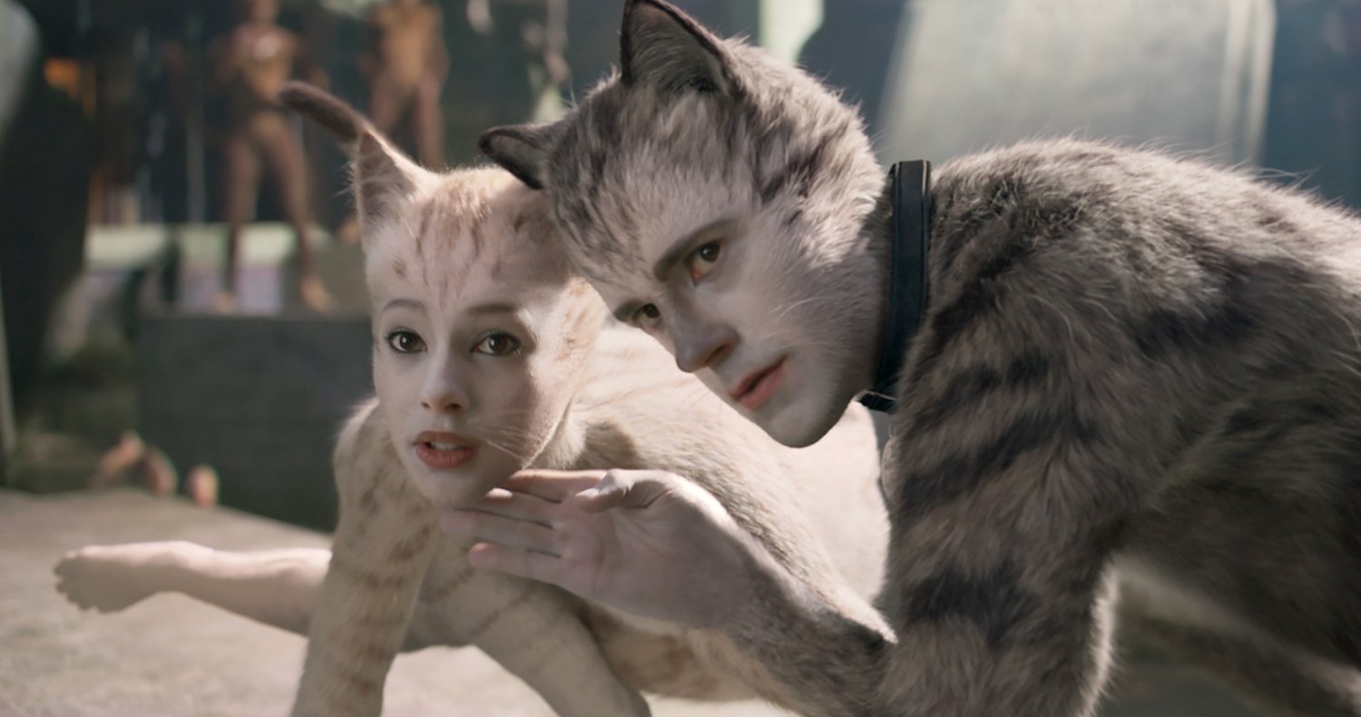 Cats - cats