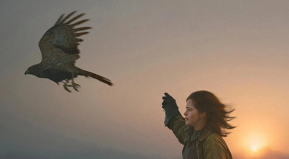 H is for Hawk (2025) Review: A Very British Grief